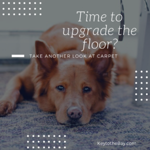 Upgrading the Floors? Hardwood or Carpet?